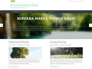 nirvana-wordpress-theme-tiny