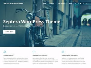 septera-wordpress-theme-tiny